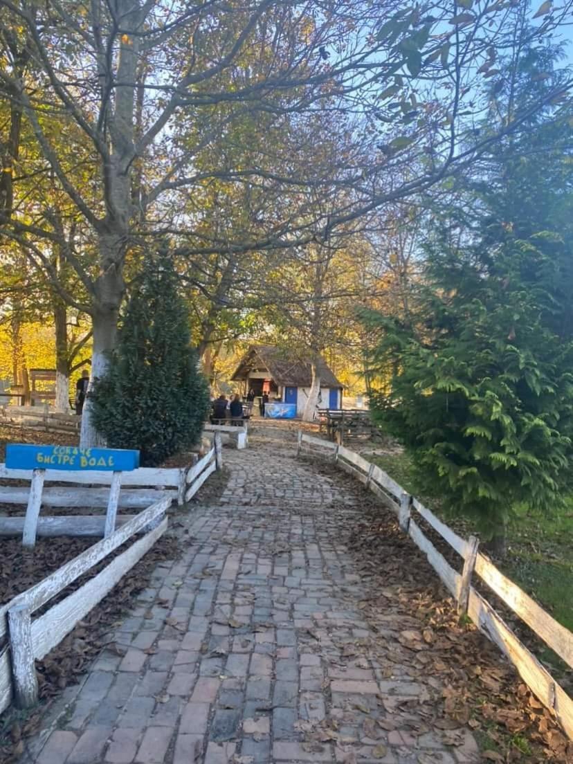 Apartman Lavanda Banja Koviljača Exteriör bild