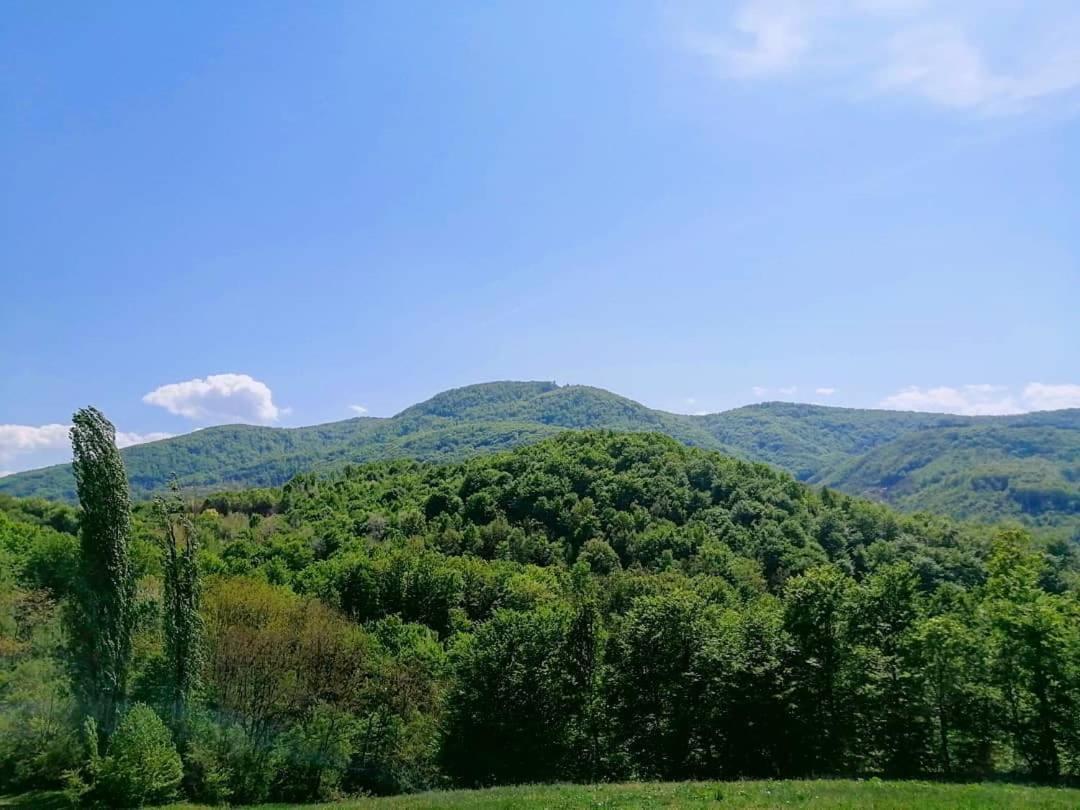 Apartman Lavanda Banja Koviljača Exteriör bild